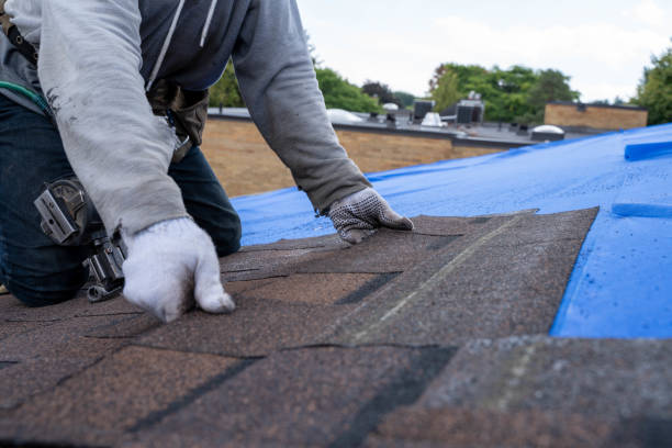 Best Shingle Roofing Installation  in Edmonston, MD