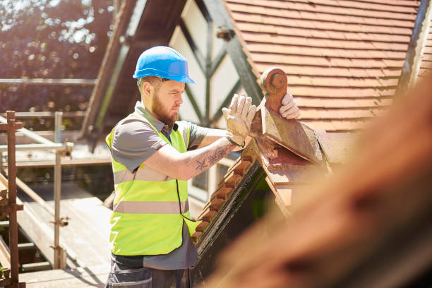 Best Commercial Roofing Services  in Edmonston, MD